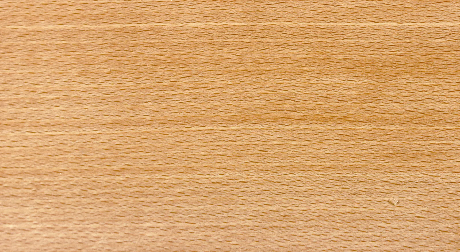 Madera de Haya: Usos y Características