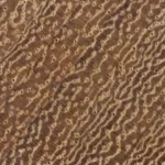 maderas tropicales testa madera iroko antibacteriana