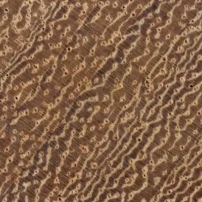 maderas tropicales testa madera iroko antibacteriana
