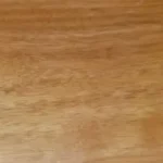características del cedro