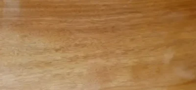 características del cedro