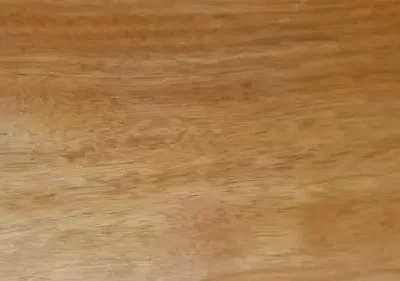 características del cedro