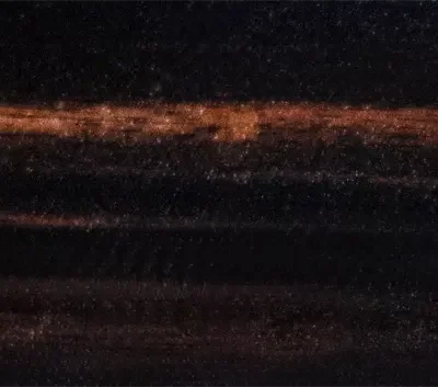 madera de ébano makassar
