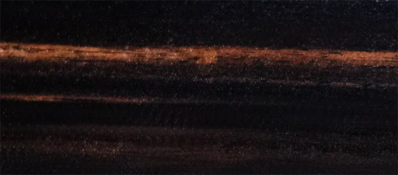 madera de ébano makassar