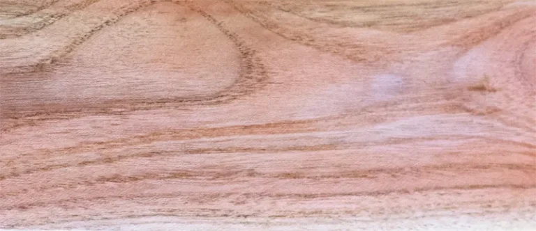 madera de pistacho común